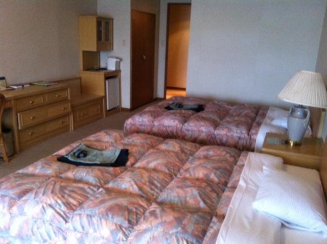Hotel Hakone Powell Phòng bức ảnh